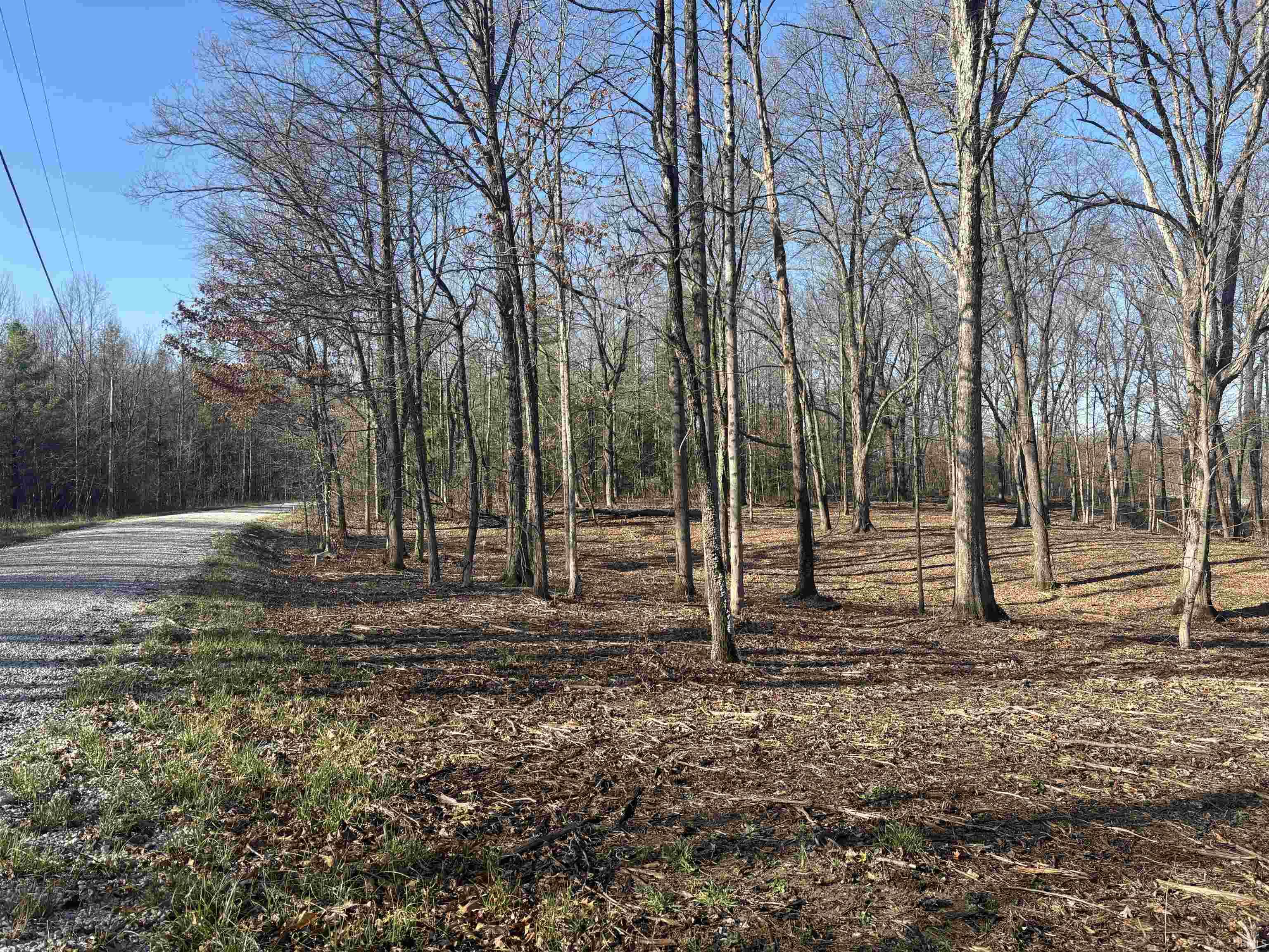 0 Taylor Ridge Road Bloomfield, IN 47424 - Photo 6 of 14