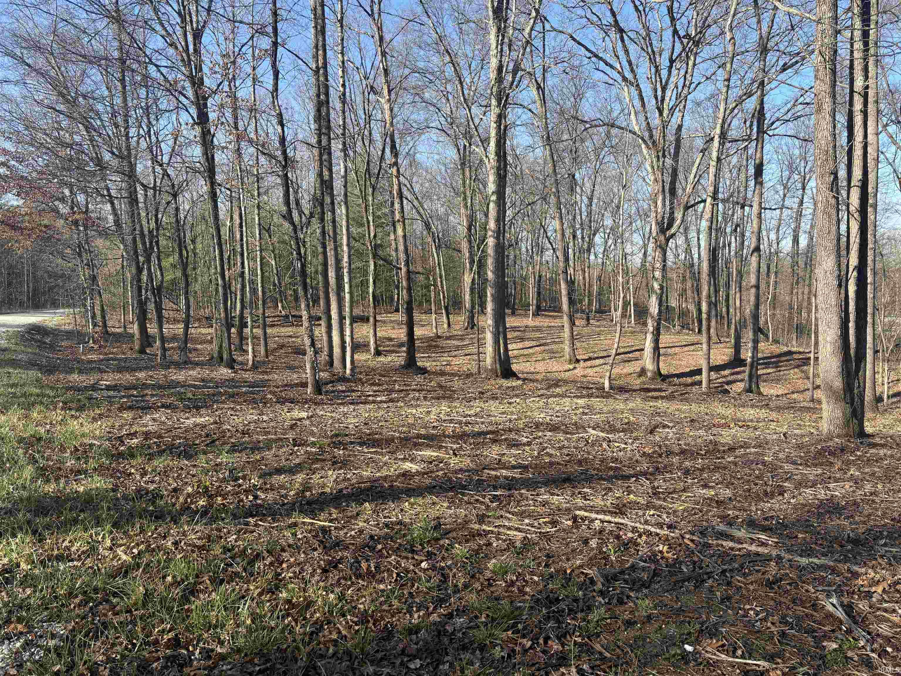 0 Taylor Ridge Road Bloomfield, IN 47424 - Photo 7 of 14