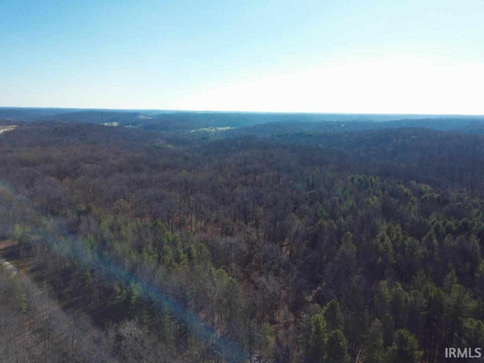 0 Taylor Ridge Road Bloomfield, IN 47424 - Photo 9 of 14