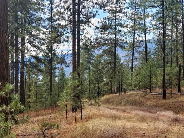 1971 Ray Anderson Road Kettle Falls, WA 99141 - Photo 11 of 16 Gallery Image 11