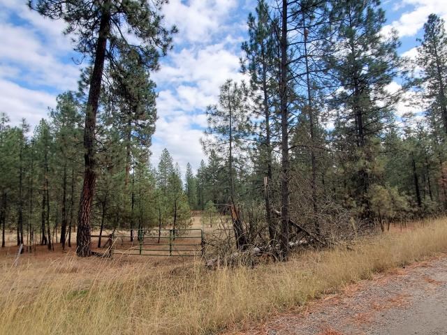 1971 Ray Anderson Road Kettle Falls, WA 99141 - Photo 14 of 16 Gallery Image 14