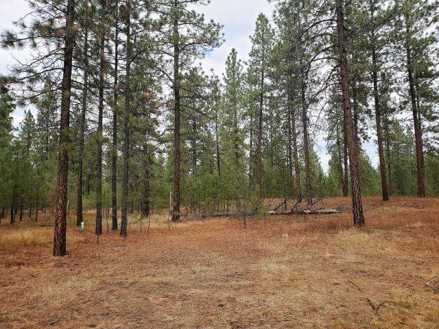 1971 Ray Anderson Road Kettle Falls, WA 99141 - Photo 5 of 16 Gallery Image 5