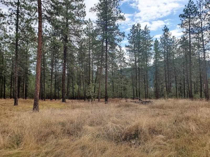 1971 Ray Anderson Road Kettle Falls, WA 99141 - Photo 9 of 16 Gallery Image 9