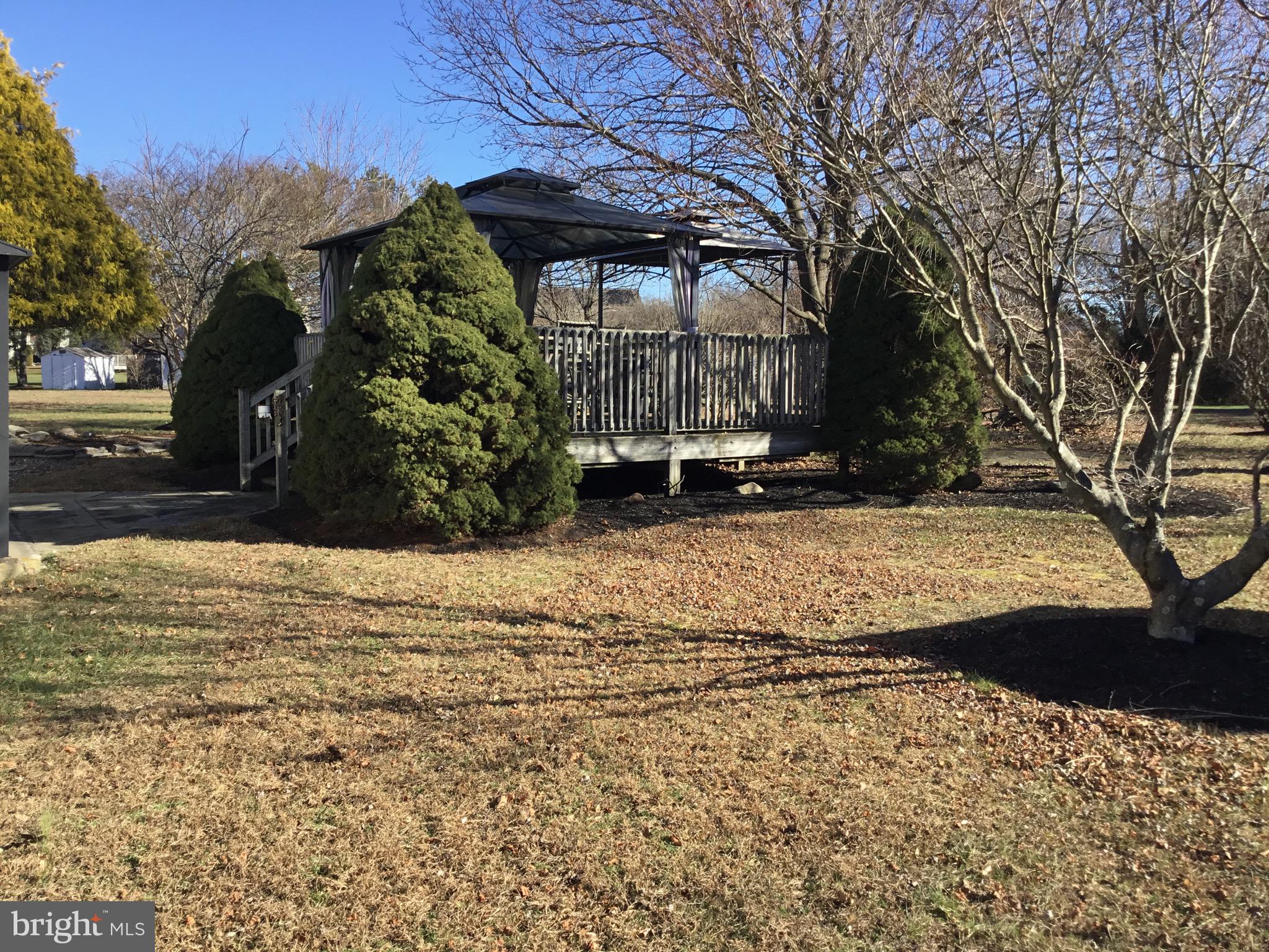 24 McIntosh Road Sewell, NJ 08080 - Photo 19 of 23 a view of a yard with a tree