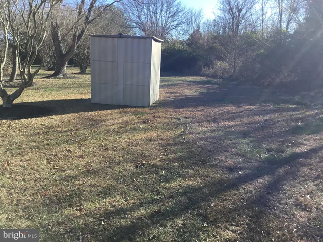 a view of a yard with large tree