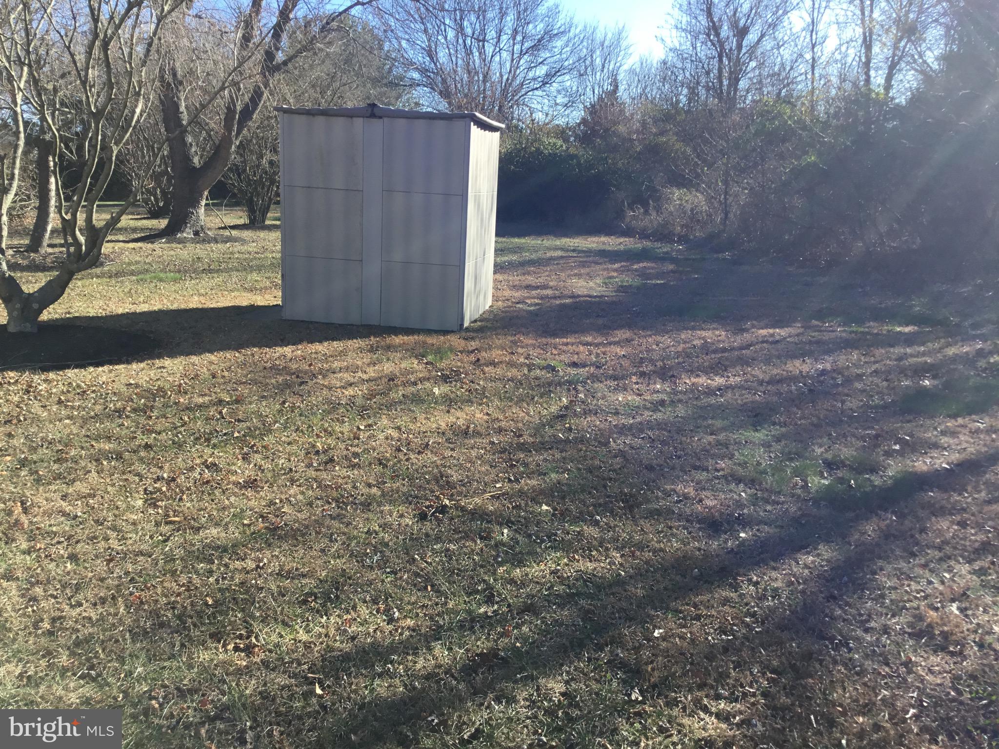 24 McIntosh Road Sewell, NJ 08080 - Photo 20 of 23 a view of a yard with large tree