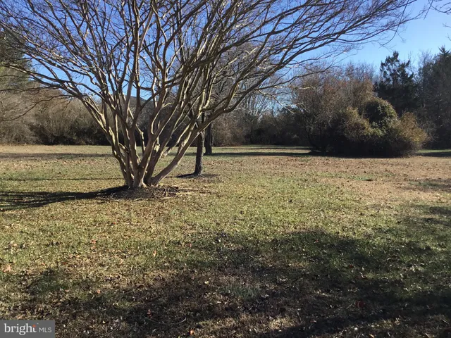 a view of backyard of house with green space