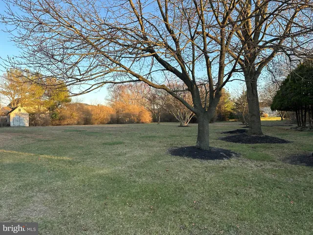 a view of a yard with a tree