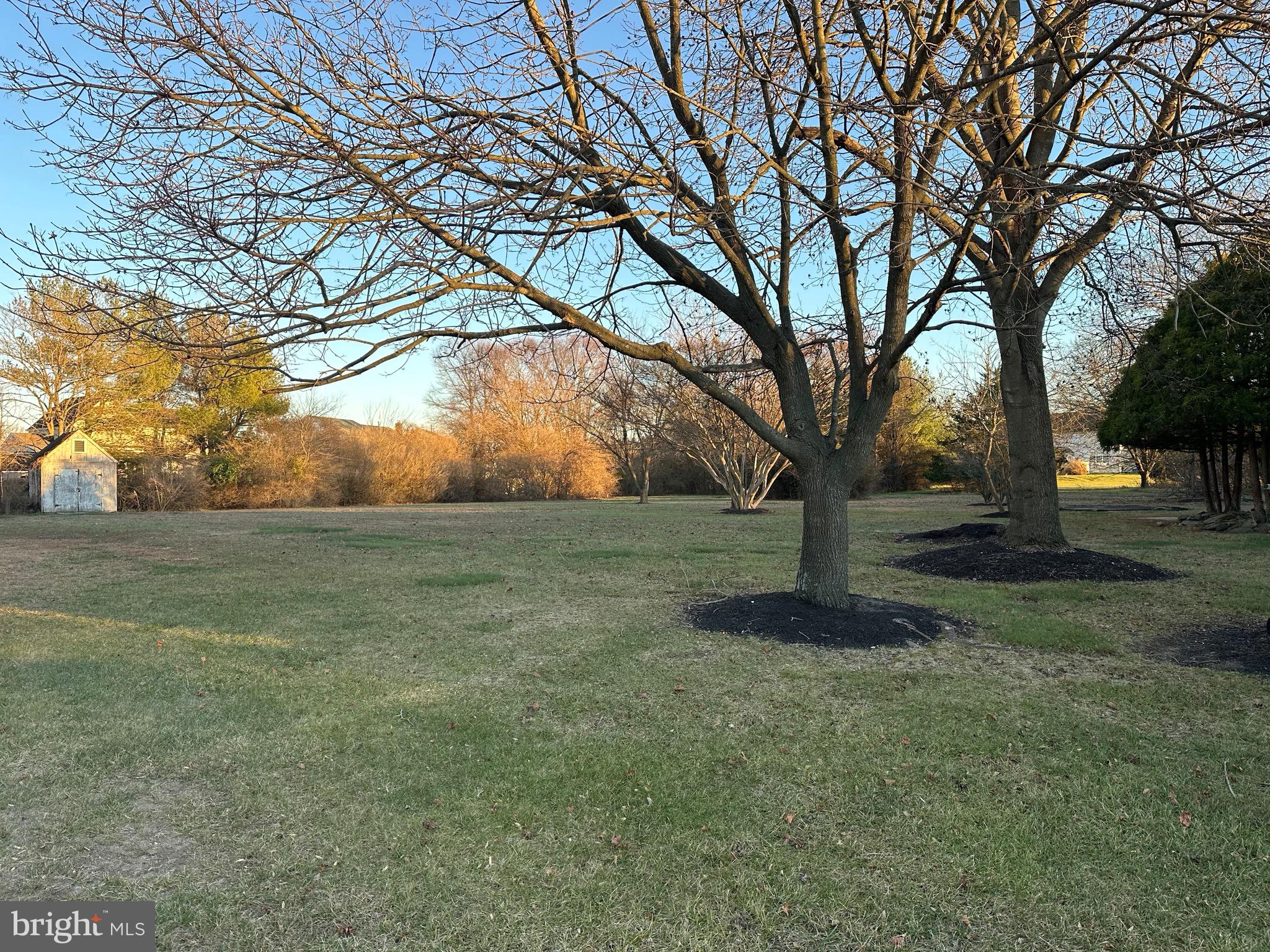 24 McIntosh Road Sewell, NJ 08080 - Photo 23 of 23 a view of a yard with a tree