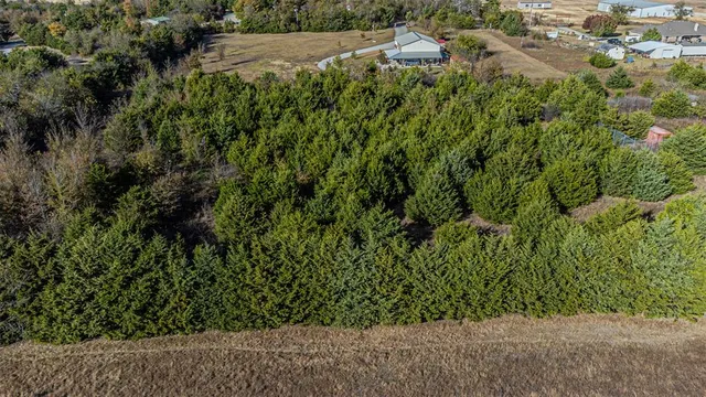 a view of a yard with plants