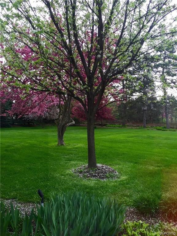 3901 West Tienken Road Rochester Hills, MI 48309 - Photo 50 of 87