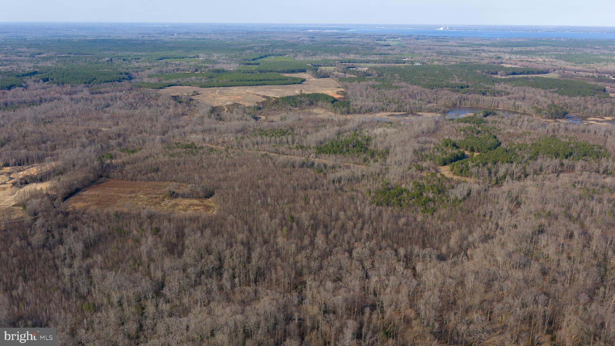 Trigger Lane Colonial Beach, VA 22443 - Photo 8 of 21 229 acres wooded