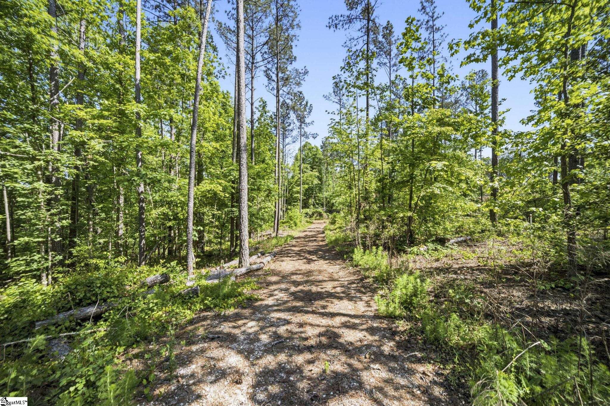516 Franklin Finley Road Easley, SC 29640 - Photo 12 of 20