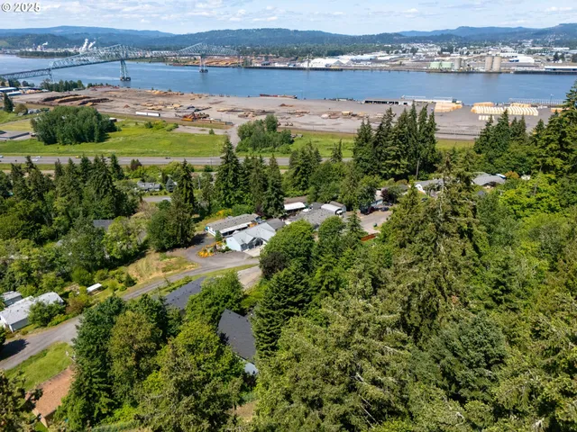 an aerial view of river residential houses with outdoor space and trees