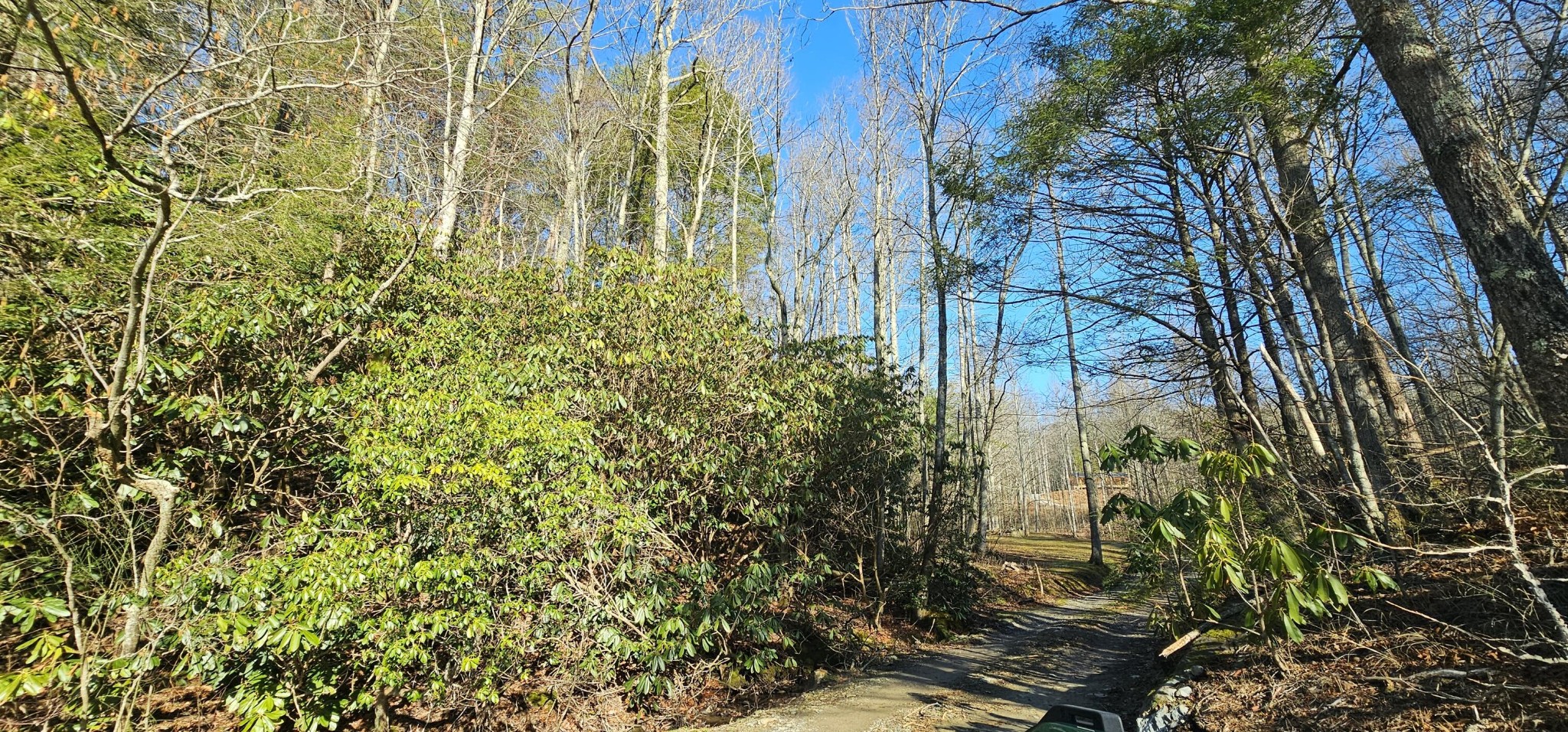 248 Lower Smithfield Road Tellico Plains, TN 37385 - Photo 24 of 52 Gallery Image 24