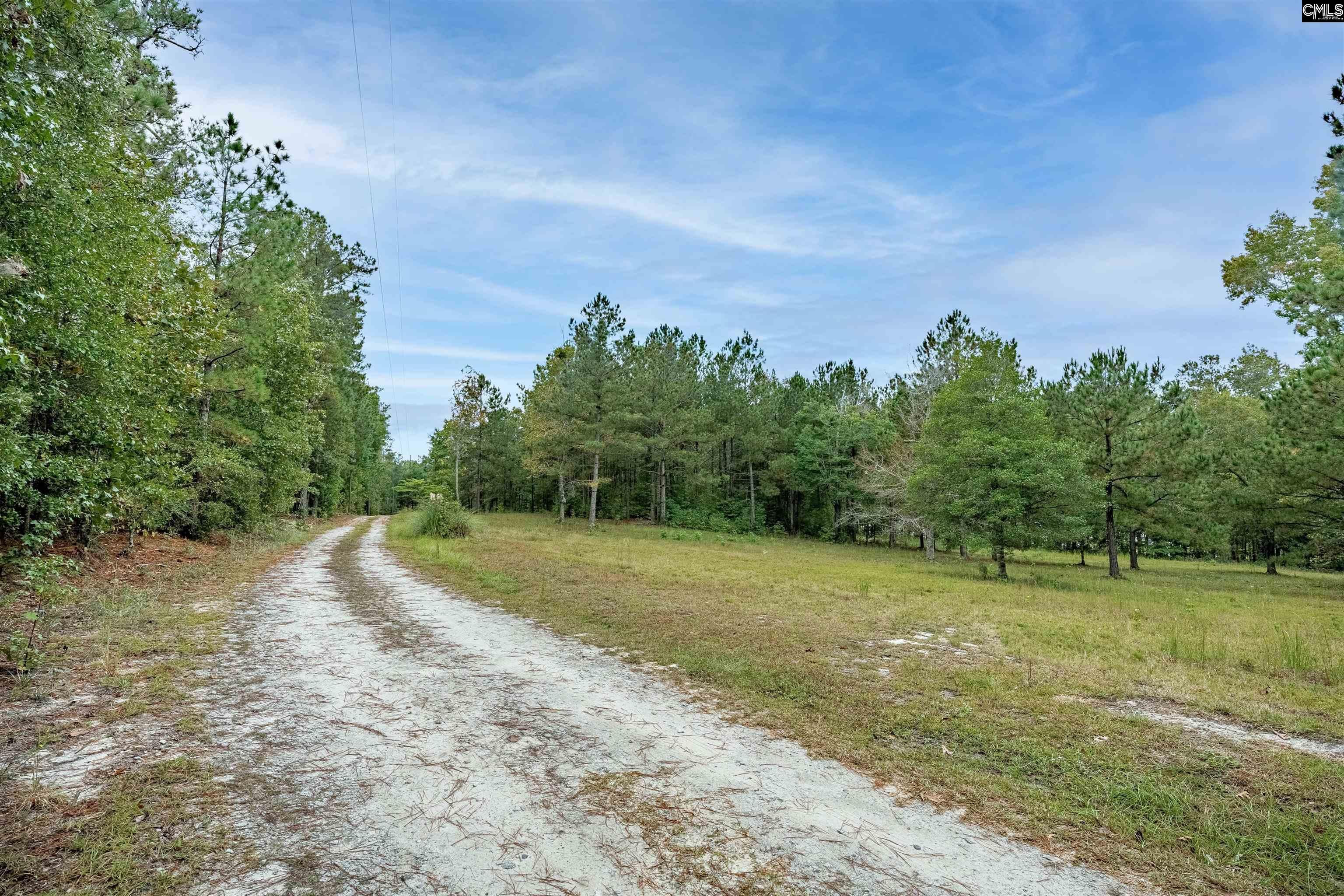 248 Killian Road Columbia, SC 29203 - Photo 22 of 92 Gallery Image 22