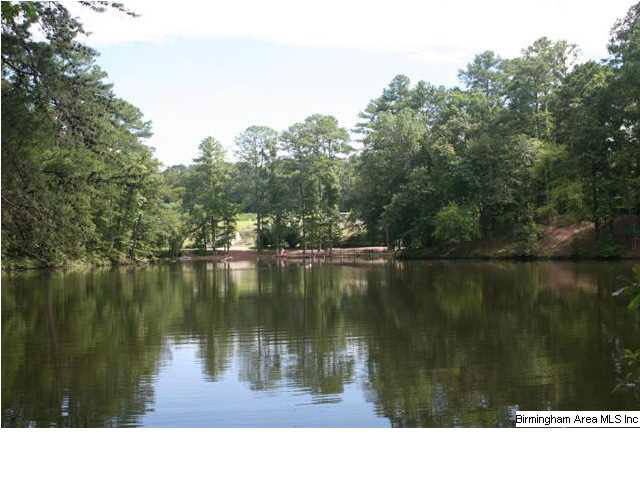 777 Carl Raines Lake Road Birmingham, AL 35244 - Photo 10 of 32