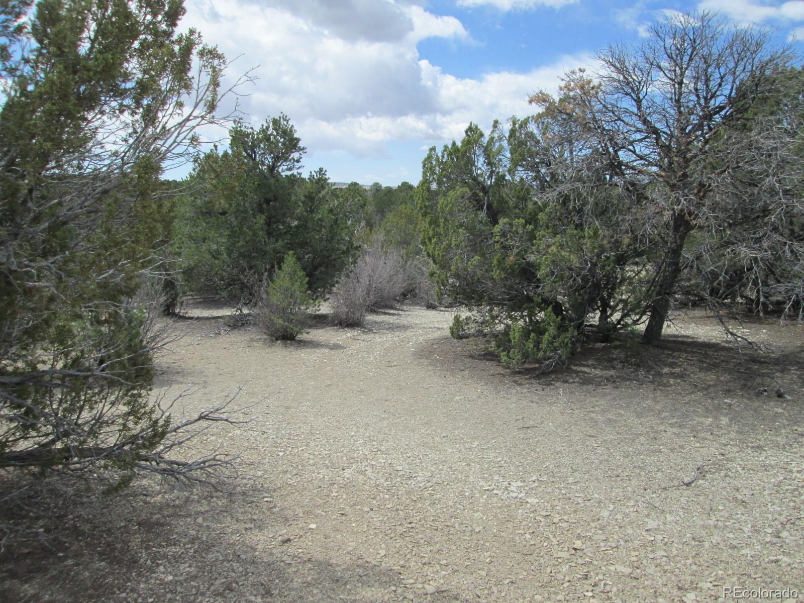 Lot 102 Sikes Ranch Rye, CO 81069 - Photo 11 of 24