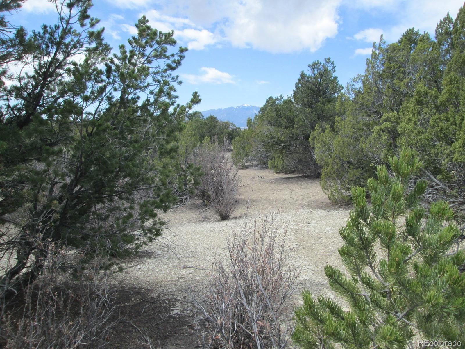 Lot 102 Sikes Ranch Rye, CO 81069 - Photo 12 of 24