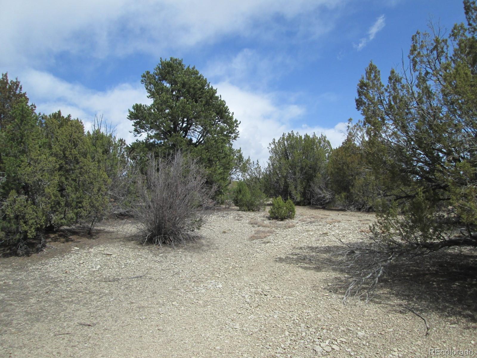 Lot 102 Sikes Ranch Rye, CO 81069 - Photo 13 of 24