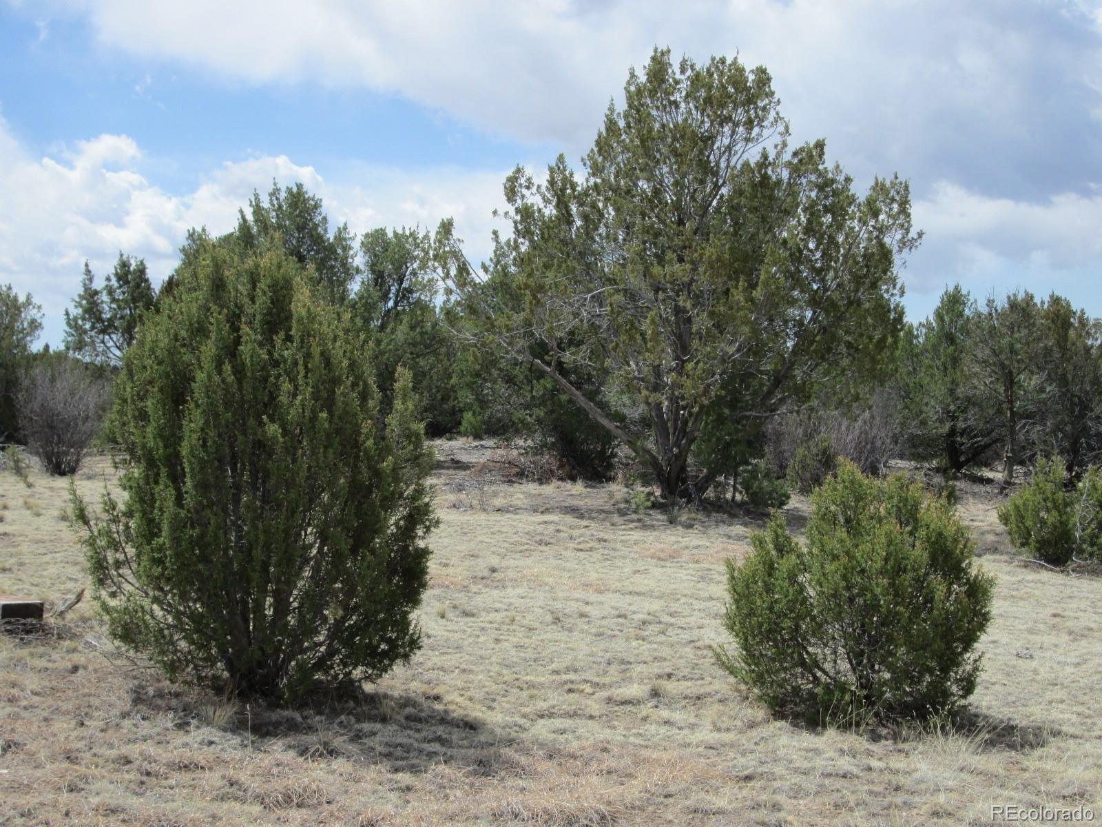 Lot 102 Sikes Ranch Rye, CO 81069 - Photo 16 of 24
