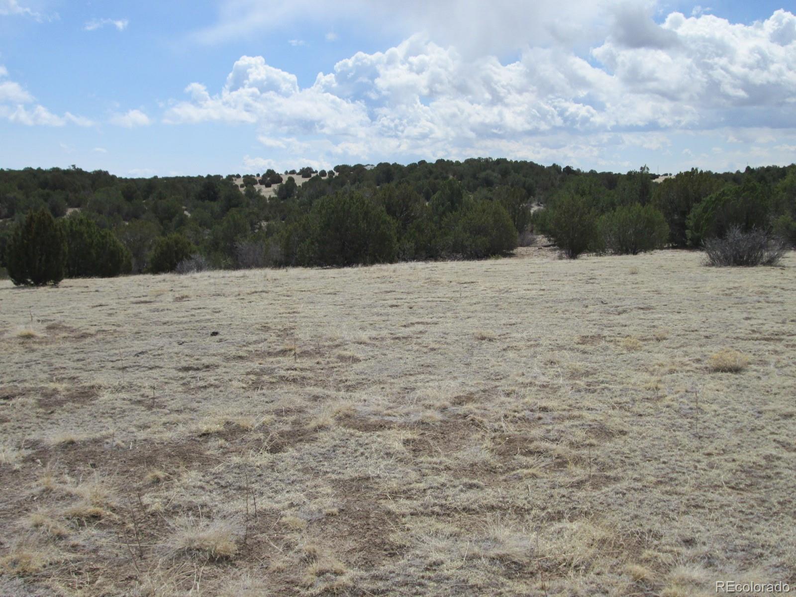 Lot 102 Sikes Ranch Rye, CO 81069 - Photo 19 of 24