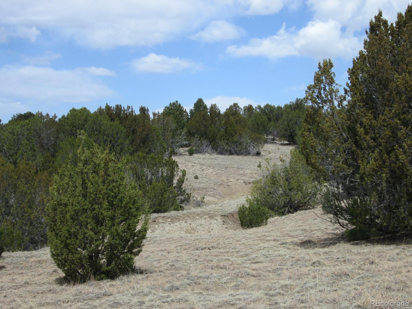 Lot 102 Sikes Ranch Rye, CO 81069 - Photo 20 of 24