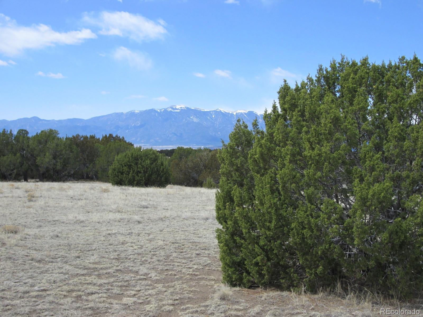 Lot 102 Sikes Ranch Rye, CO 81069 - Photo 5 of 24