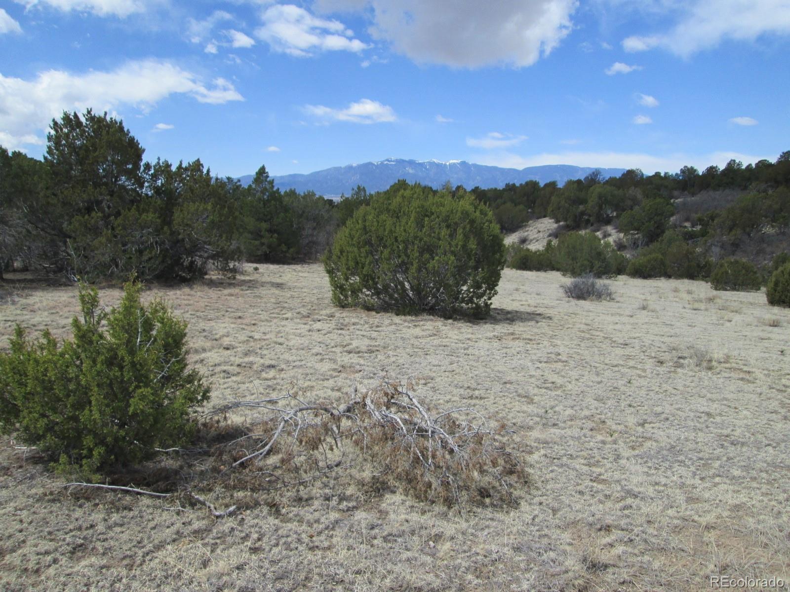 Lot 102 Sikes Ranch Rye, CO 81069 - Photo 8 of 24