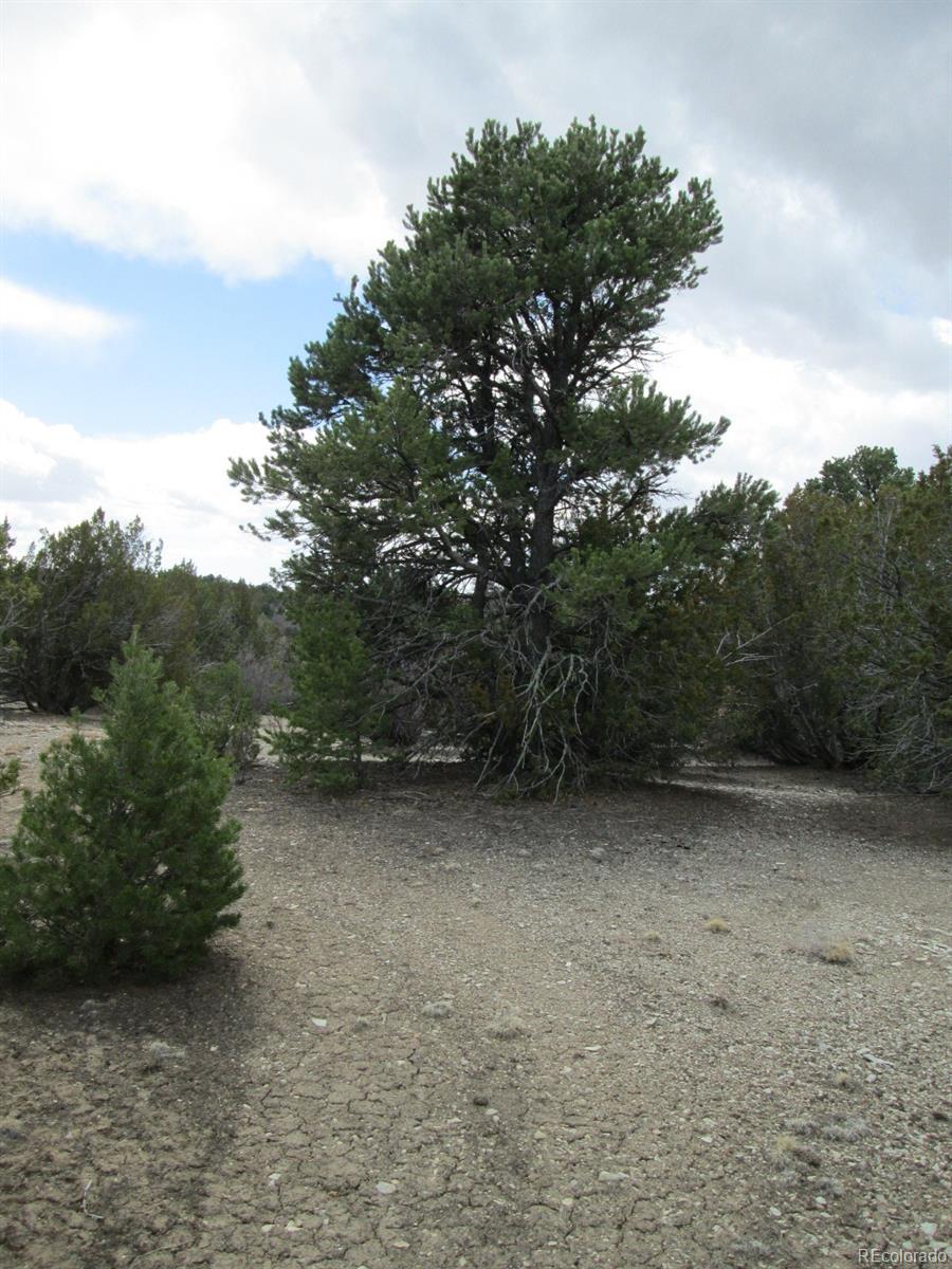 Lot 102 Sikes Ranch Rye, CO 81069 - Photo 9 of 24