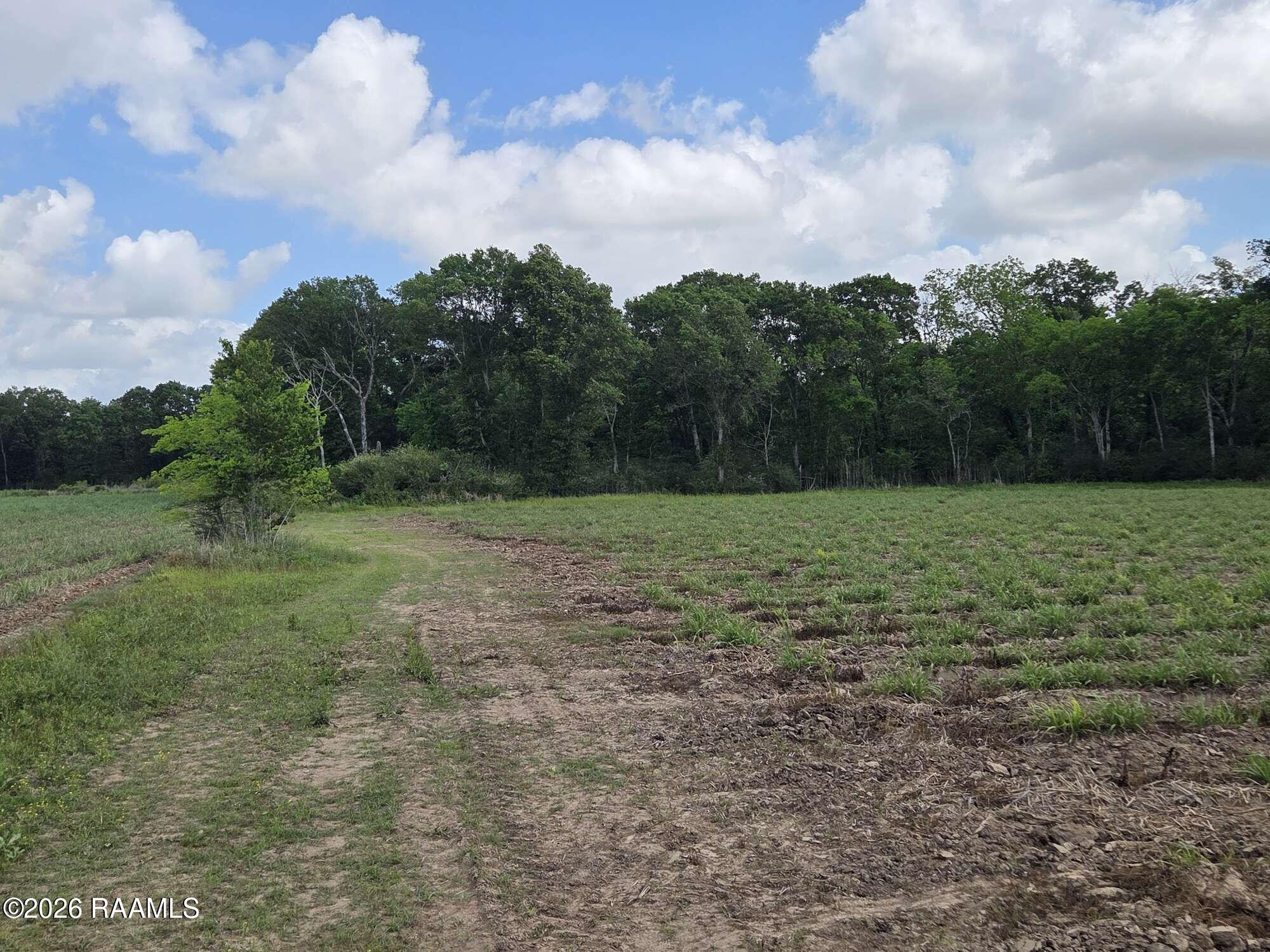 991 Sidney Charles Road Opelousas, LA 70570 - Photo 4 of 6 Compress_20260424_145756_6828