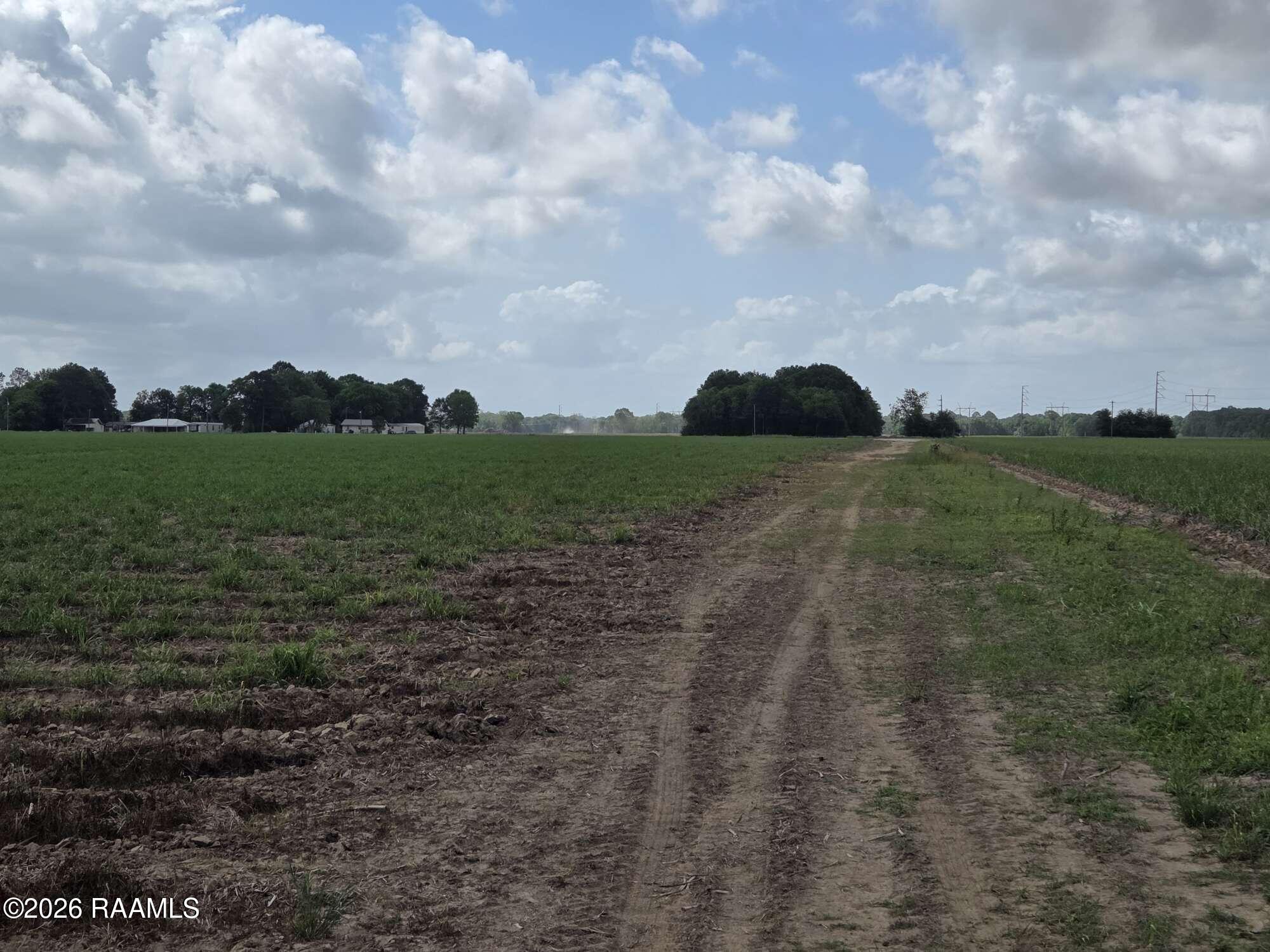 991 Sidney Charles Road Opelousas, LA 70570 - Photo 5 of 6 Compress_20260424_145757_7040