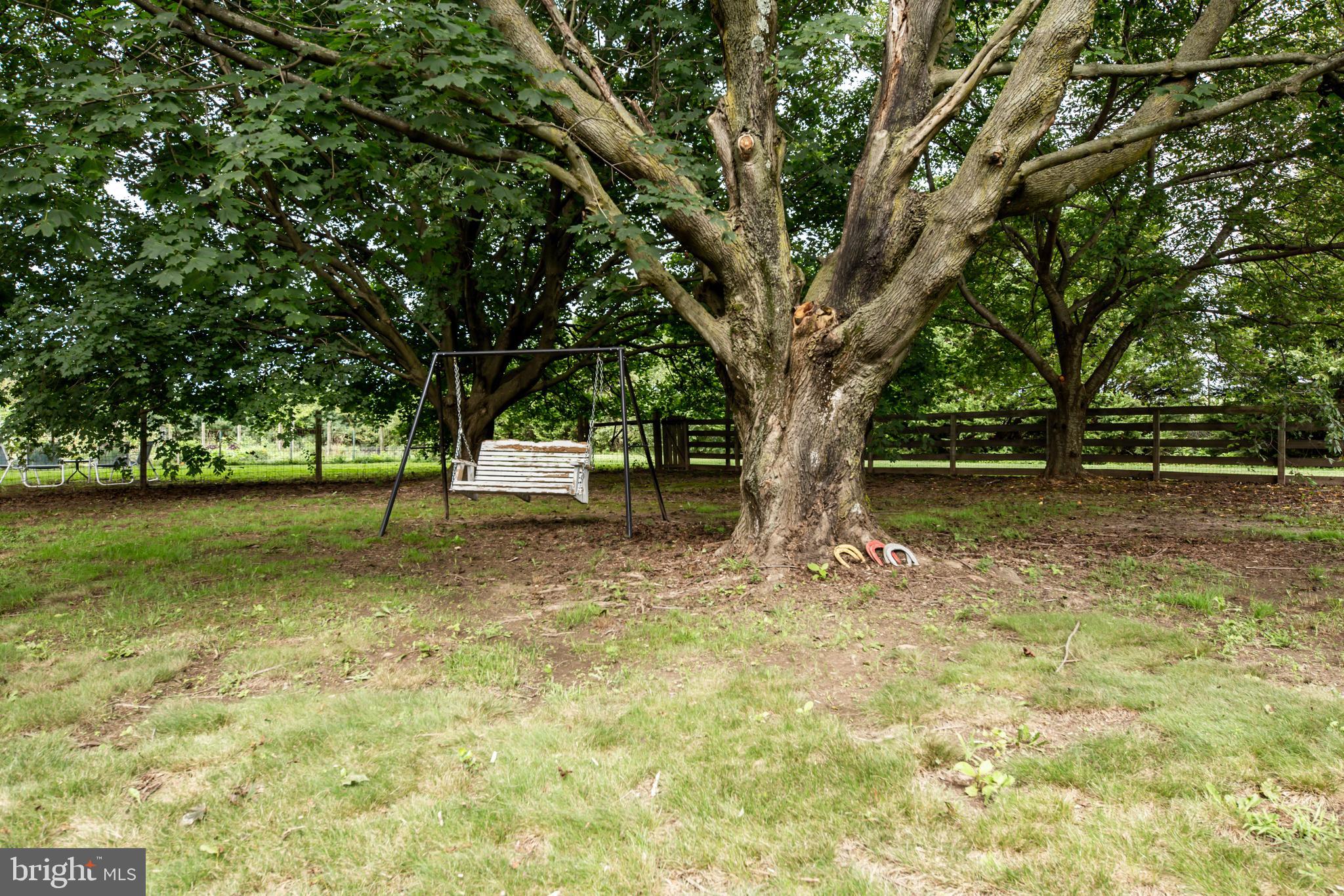 335 Cobbs Mill Road Alloway, NJ 08302 - Photo 32 of 44