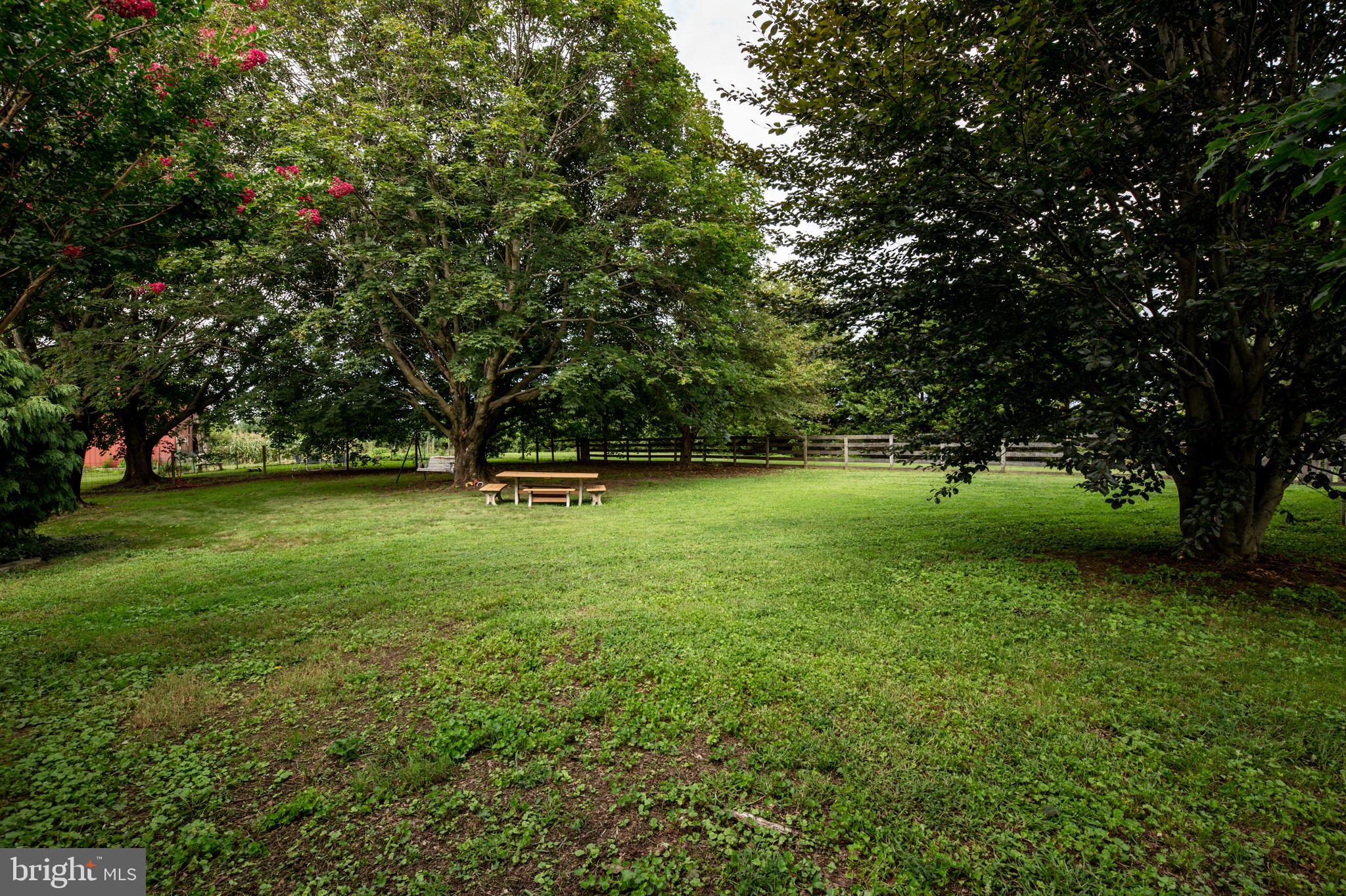335 Cobbs Mill Road Alloway, NJ 08302 - Photo 35 of 44