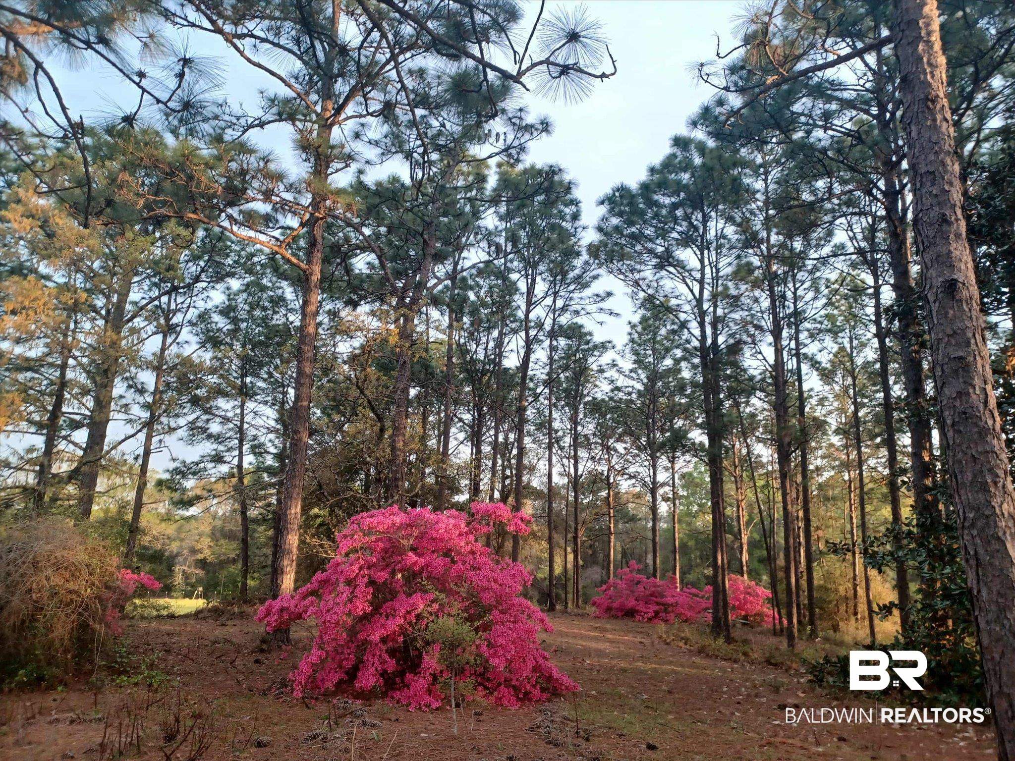 7650 Iron Rush Road Wilmer, AL 36587 - Photo 32 of 34 View of yard featuring a wooded view