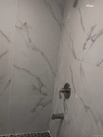 a shower view in a bathroom