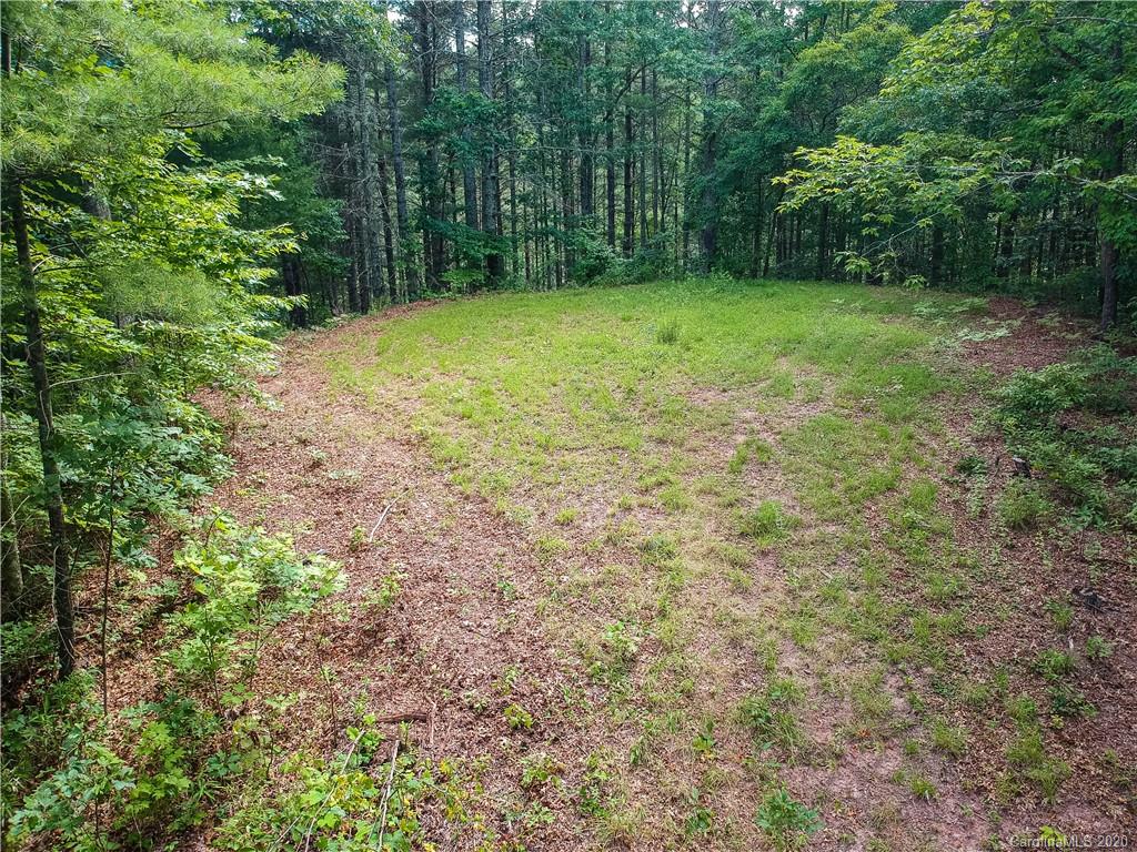 0 Hightower Road Bryson City, NC 28713 - Photo 5 of 20 a view of a yard with a trees