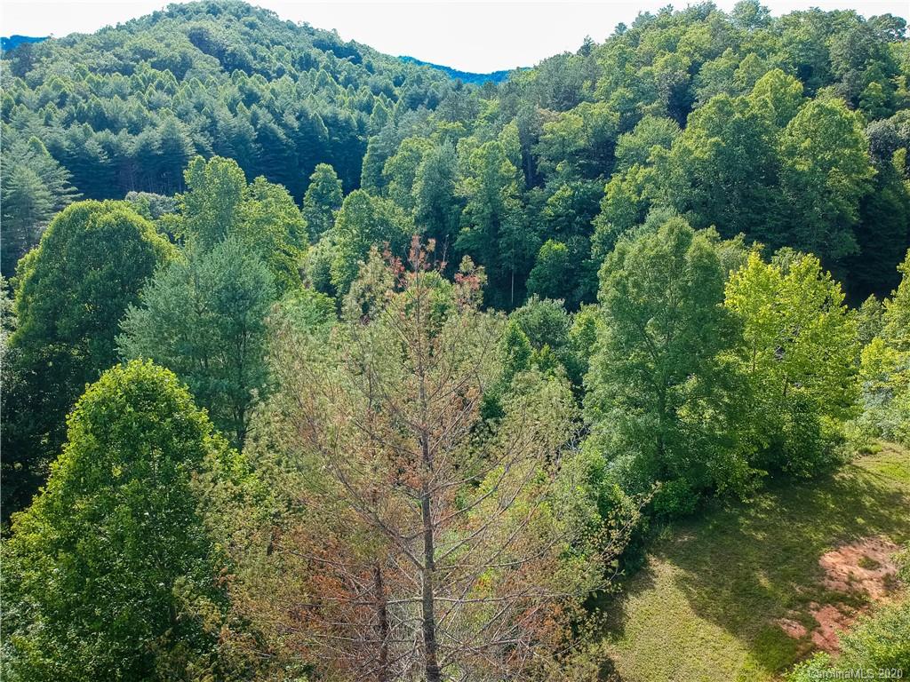 0 Hightower Road Bryson City, NC 28713 - Photo 10 of 20 a view of a garden with a tree