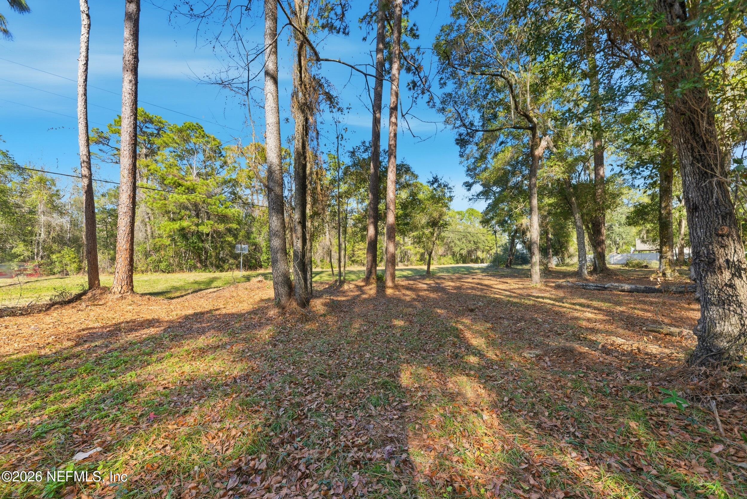 0 Pages Dairy Road Yulee, FL 32097 - Photo 11 of 14 a view of a yard with trees