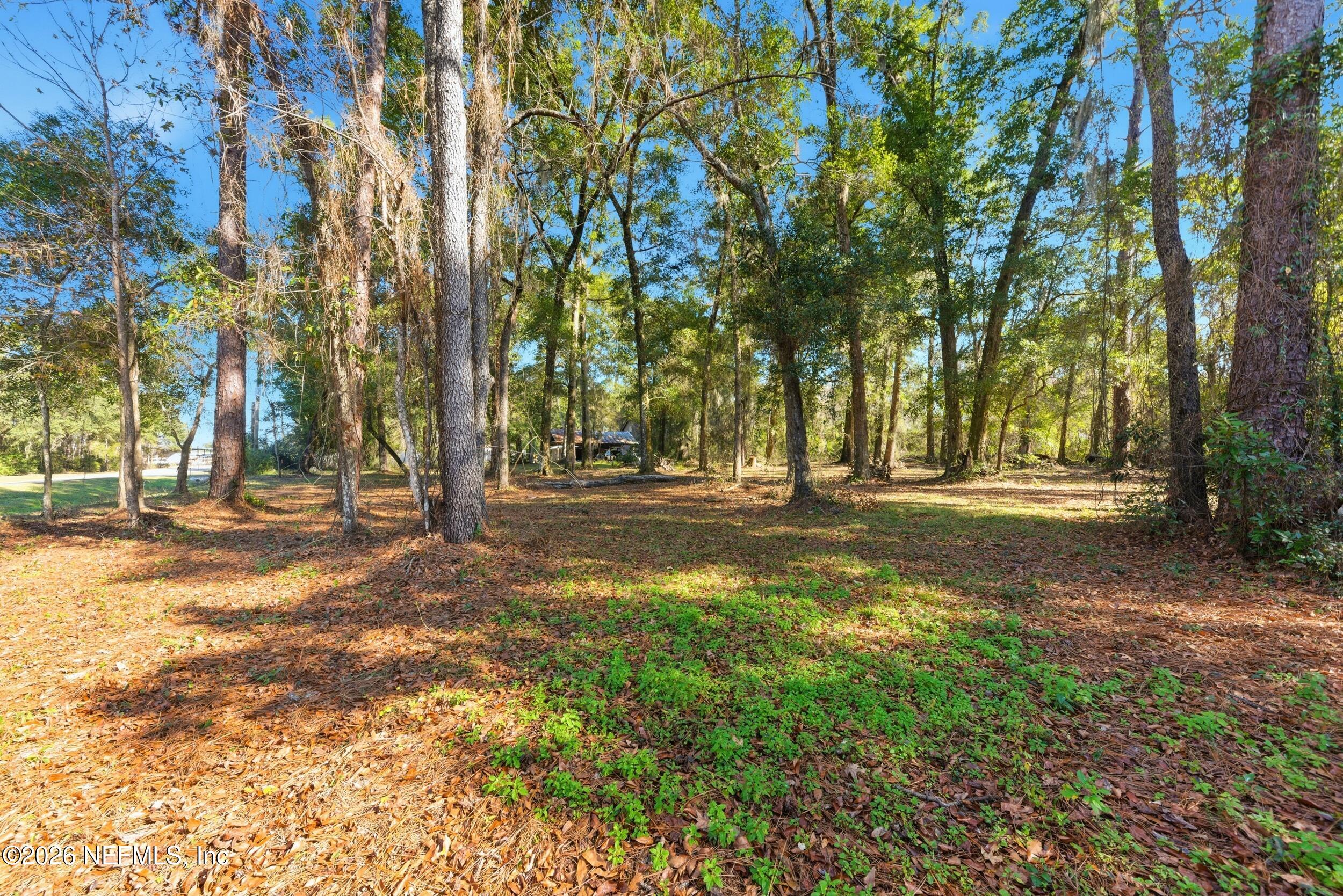 0 Pages Dairy Road Yulee, FL 32097 - Photo 12 of 14 a view of outdoor space with trees