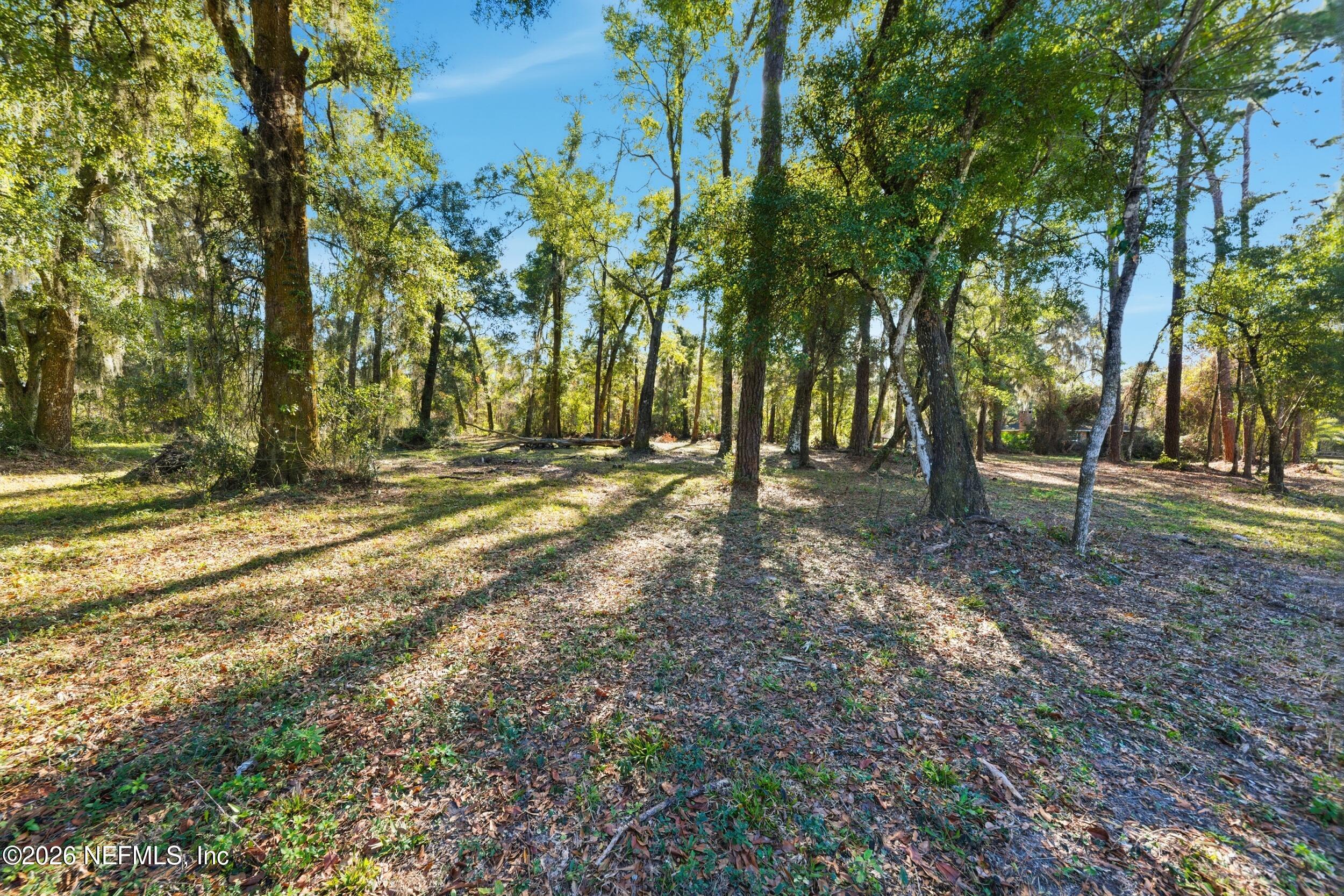 0 Pages Dairy Road Yulee, FL 32097 - Photo 2 of 14 a view of outdoor space with trees