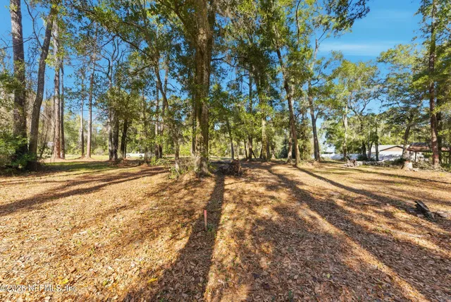 a view of road with trees