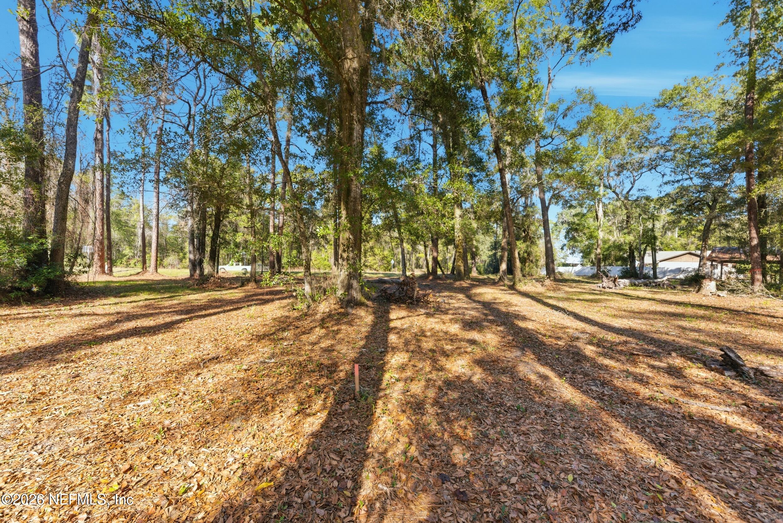 0 Pages Dairy Road Yulee, FL 32097 - Photo 4 of 14 a view of road with trees