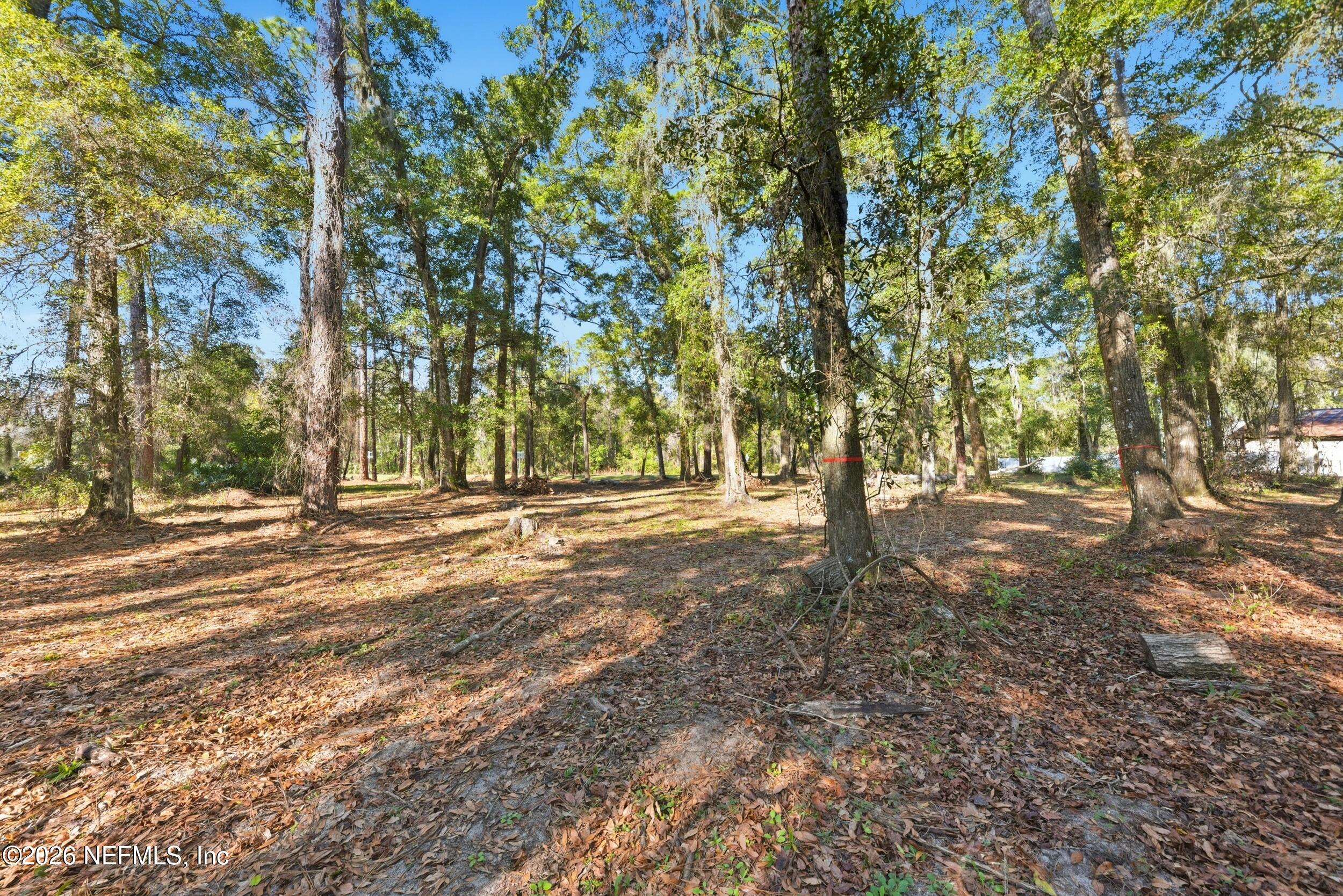 0 Pages Dairy Road Yulee, FL 32097 - Photo 5 of 14 a view of outdoor space with trees