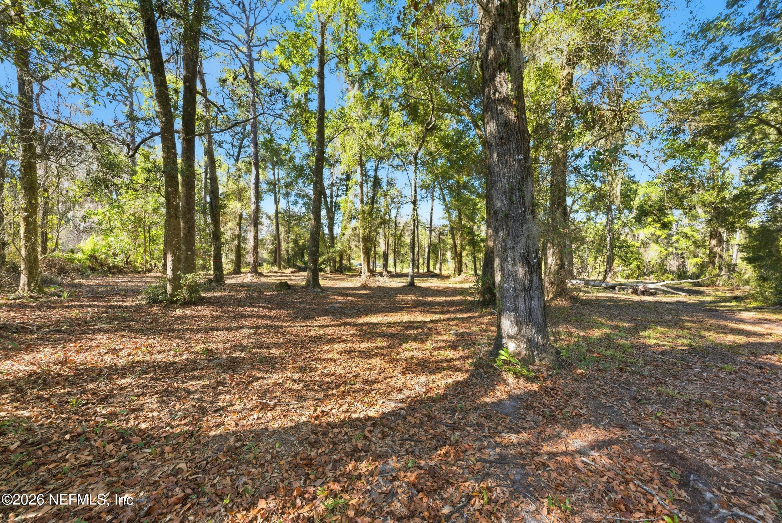 0 Pages Dairy Road Yulee, FL 32097 - Photo 6 of 14 a view of outdoor space with trees