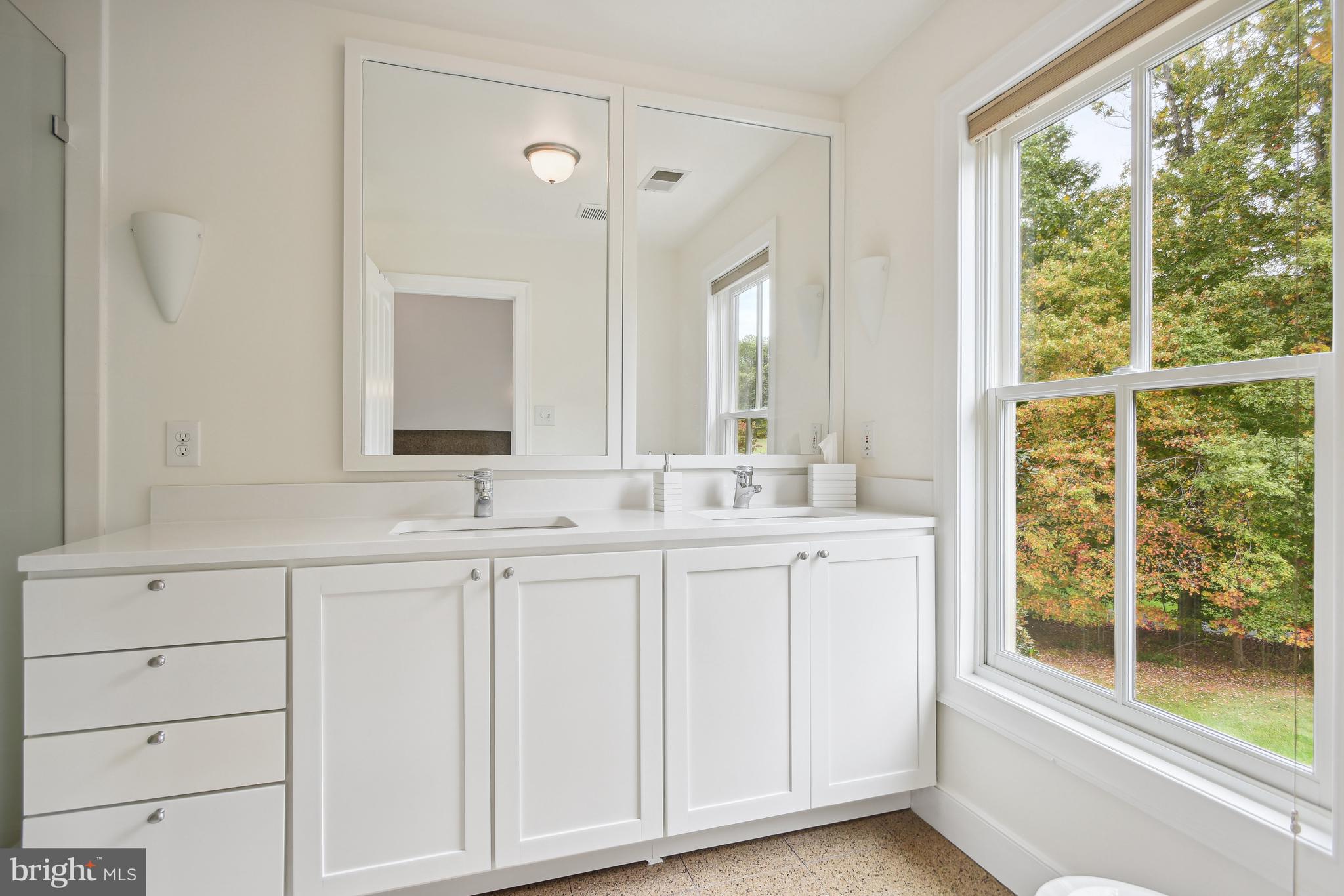 10747 Riverscape Run Great Falls, VA 22066 - Photo 20 of 39 Primary Bathroom