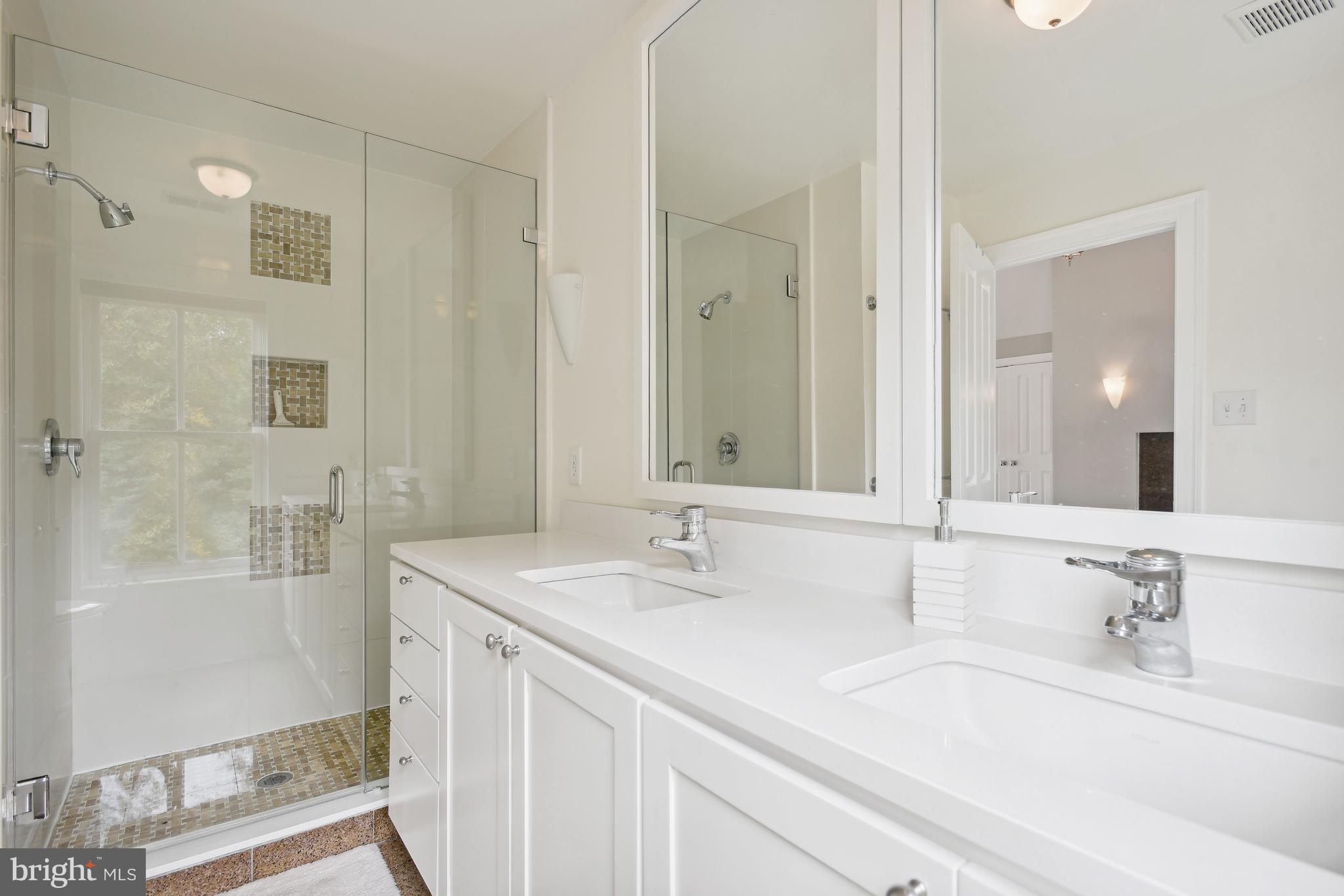 10747 Riverscape Run Great Falls, VA 22066 - Photo 21 of 39 Primary Bathroom