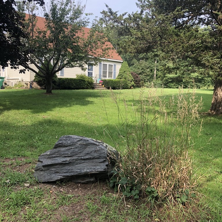 a view of a house with a backyard