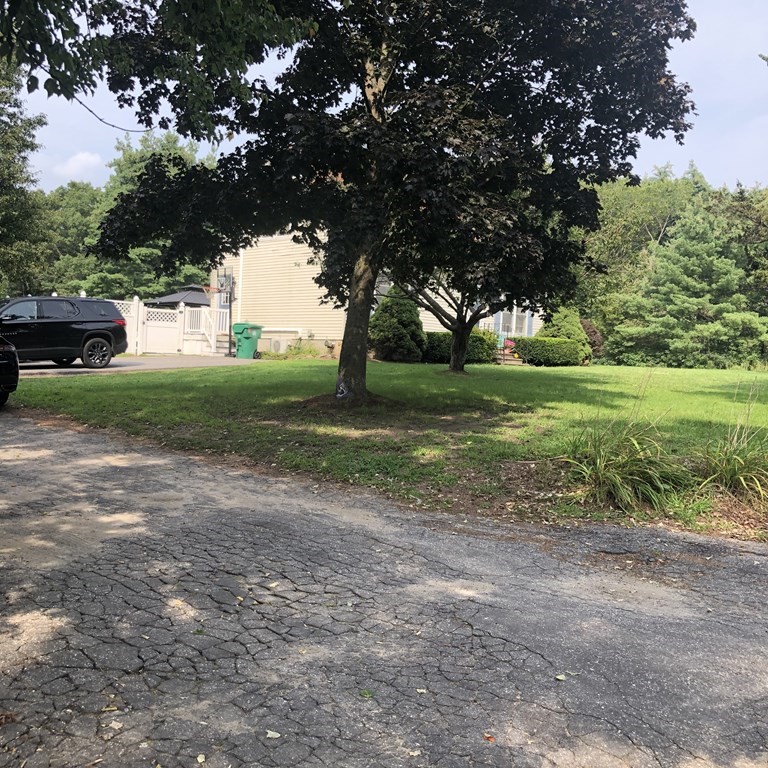 33 Bolton Road Clinton, MA 01510 - Photo 3 of 40 a view of a yard with a tree