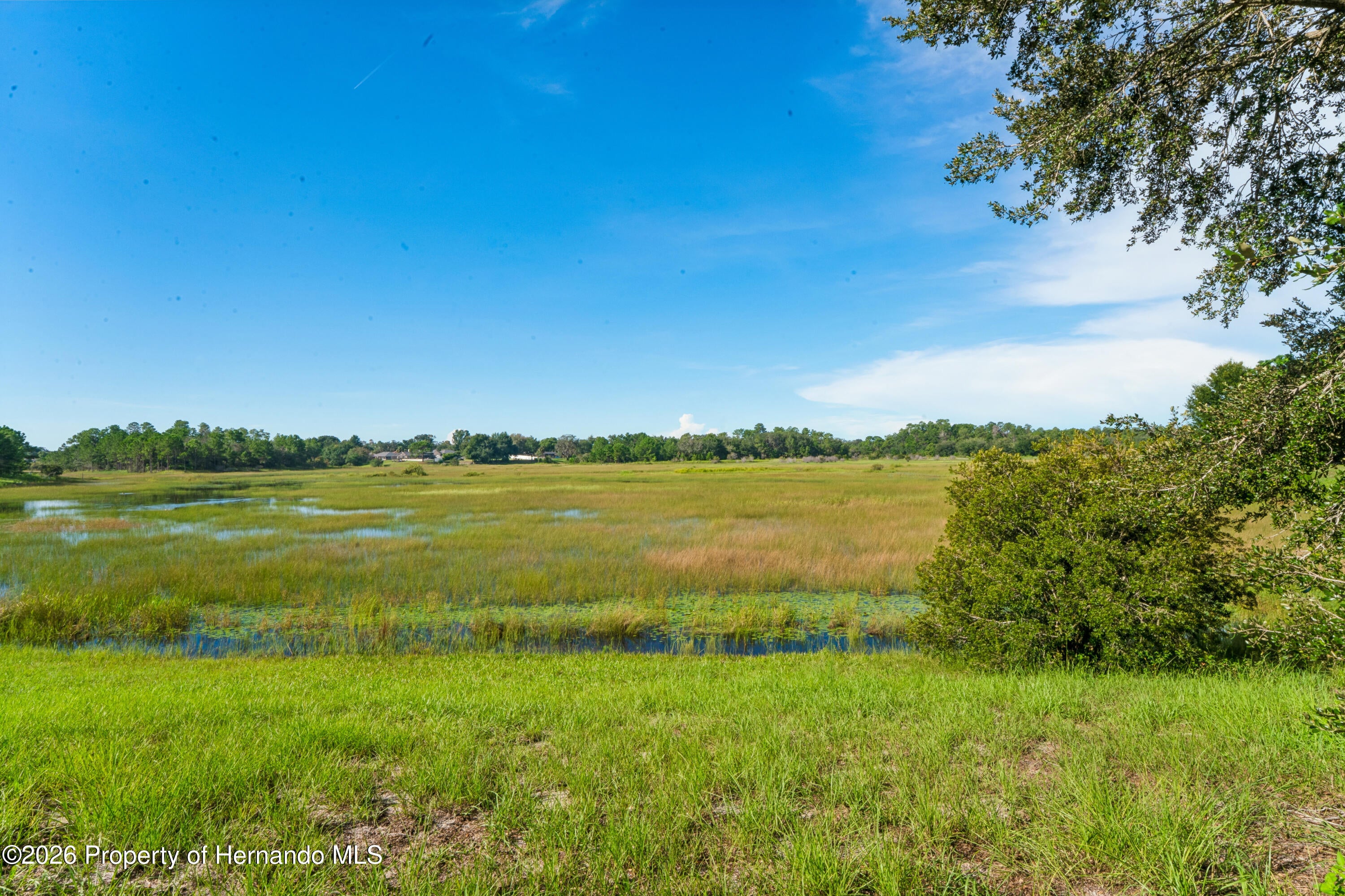 5230 Mosquero Road Spring Hill, FL 34606 - Photo 5 of 56 Gallery Image 5